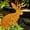 Jackalope, variant on New Handmade Metal Garden Art - Rusted Garden Decor, Rusty Metal Stake, Iron Rust Color Silhouette Art, Outdoor Decor, Weather-Resistant Rustic Sculpture for Yard Decorations