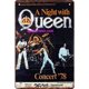 thumbnail image 1 of Hojalata Rectangular 20*30cm Plano Serie Personajes QUEEN Queen (2), 1 of 9