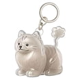 thumbnail image 2 of Keychain For Collecting Cat And Dog Hair Life Pendant For Dogs DIY Pet Kechain Pet Keepsake, 2 of 9