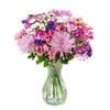 Purple Extravagance by Arabella Bouquets with a Free Elegant Hand-Blown Glass Vase (Fresh-Cut Flowers, Purple)