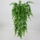 thumbnail image 4 of Billuyoard Simulación de hierba de helecho, planta verde, helecho Artificial, hojas persas, flores, plantas colgantes de pared, decoración de tienda de Decoración del hogar Billuyoard HA017865-00, 4 of 5