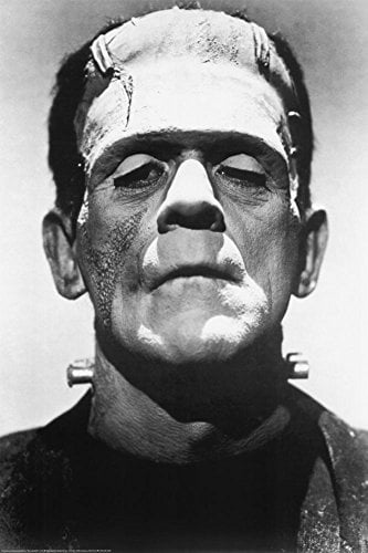 24.5" x 36.5" Frankenstein Movie Laminated Poster 