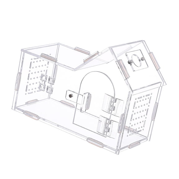 Cricket Cage Reptile Feeding Box Snake Habitat Rotating Door Acrylic Material for Gecko Turtle Spider Terrarium Scene