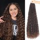 thumbnail image 1 of Trenzas De Caja Bohemias De Pelo De Ganchillo, Trenzas De Ganchillo Bohemias Largas Preenrolladas Para Mujeres Negras, 8 Paquetes De Trenzas De Caja De Diosa, Trenzas Bohemias De Ganchillo Sintético C, 1 of 1