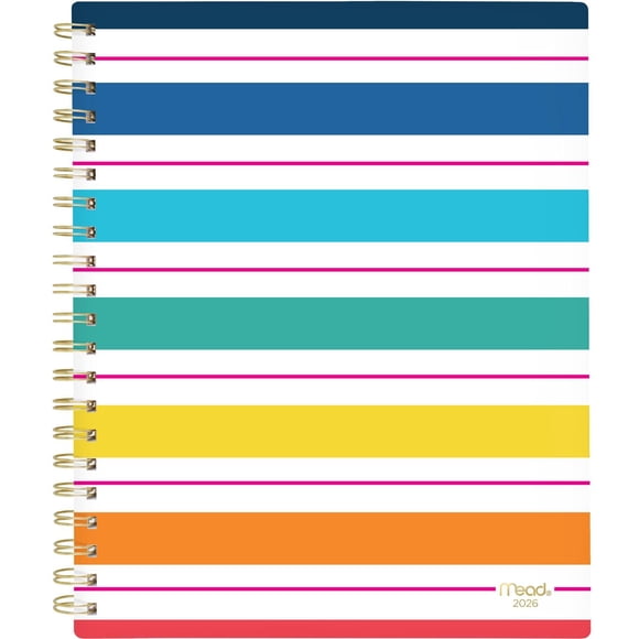 2026 Mead® Simplicity Stripe Large Weekly Clear Poly Cover Planner