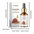thumbnail image 3 of Fiudx Acetato Capilar, Cacao y Nueces, Tratamiento Reparador y Fórmula Vegetal, Suero Hidratante Suavizante, Uso Diario para Todo Tipo de Cabello, Apto para Cabello Seco y Dañado, Formato de Viaje de, 3 of 7