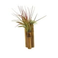 thumbnail image 2 of Bamboo Tillandsia Garden Mounted and Planted Moss, Air Plant Decoration, 2 of 6