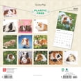thumbnail image 2 of Guinea Pigs 2025 12 X 24 Inch Monthly Square Wall Calendar Plastic-Free, (Paperback), 2 of 9