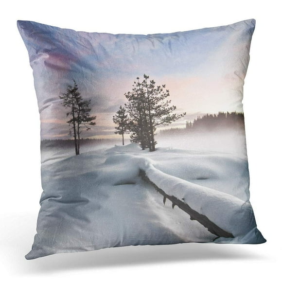 EREHome Blue Winter Wintry Landscape Iv Mist Over Frozen Lake Fallen Tree Foreground Moody Sky Orange Sunrise Pillow Case Pillow Cover 20x20 inch