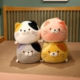 thumbnail image 2 of Peluche de gato gordo de estilo japonés de 60 cm, suave, para abrazar, para decoración de habitación, regalo para niña, lavable, 2 of 5