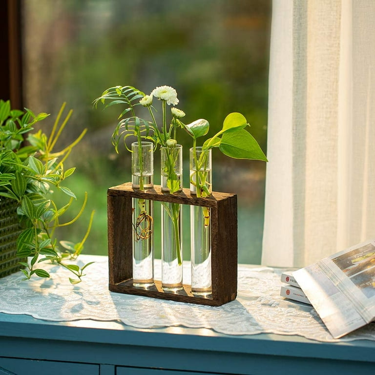 Wall planter 4 test tube flower vase tabletop glass wooden stand test tube