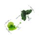 thumbnail image 2 of NUOLUX 10Ud Hoja Para Peces Betta En Acuario Con Y Ventosas, 2 of 8