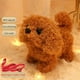 thumbnail image 4 of Juguete electrónico para perros que camina, realista, interactivo, suave al tacto, divertido para niños y niñas. Osito de peluche, 4 of 9