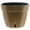 Gold/Black, variant on 🪴 Santino ASTI 7.1 Inch Self Watering Planter GOLD/BLACK for Indoor Plants - Modern Plastic Planter Pot w/ Water level Indicator for All House Herbs, Plants, African Violets and Dahlias