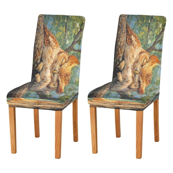 BZSMCE Chairs Slipcovers Dining Chair Covers Owl Sitting on The Branch Creative Pattern