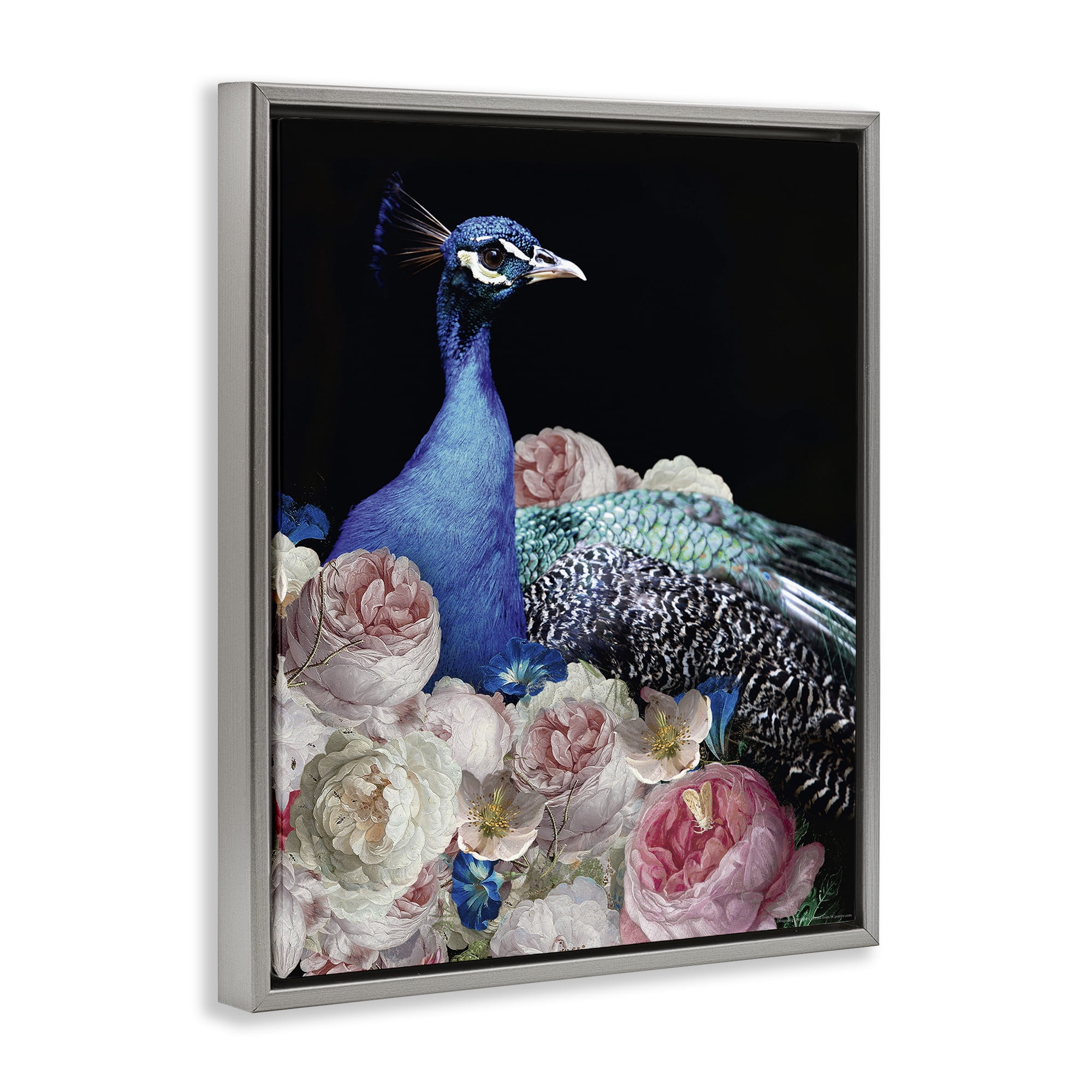 Stupell Industries Peacock & Peonies Animals Painting Gray Floater Framed Canvas Art Print Wall Art, 25 x 31