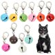 thumbnail image 1 of 10Pcs Cat Dog Collar Bells Pet Collar Bells Pet Collar Hanging Bells Pet Collar Accessories, 1 of 4