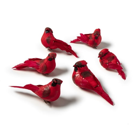 Red Feather Cardinals - 6ct. by Ashland