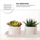 thumbnail image 3 of ColoMX 3 piezas de plástico Potor de plástico Balcón Balcón Planta Bandeja de agua Bandejas de jardinería simples, 3 of 7