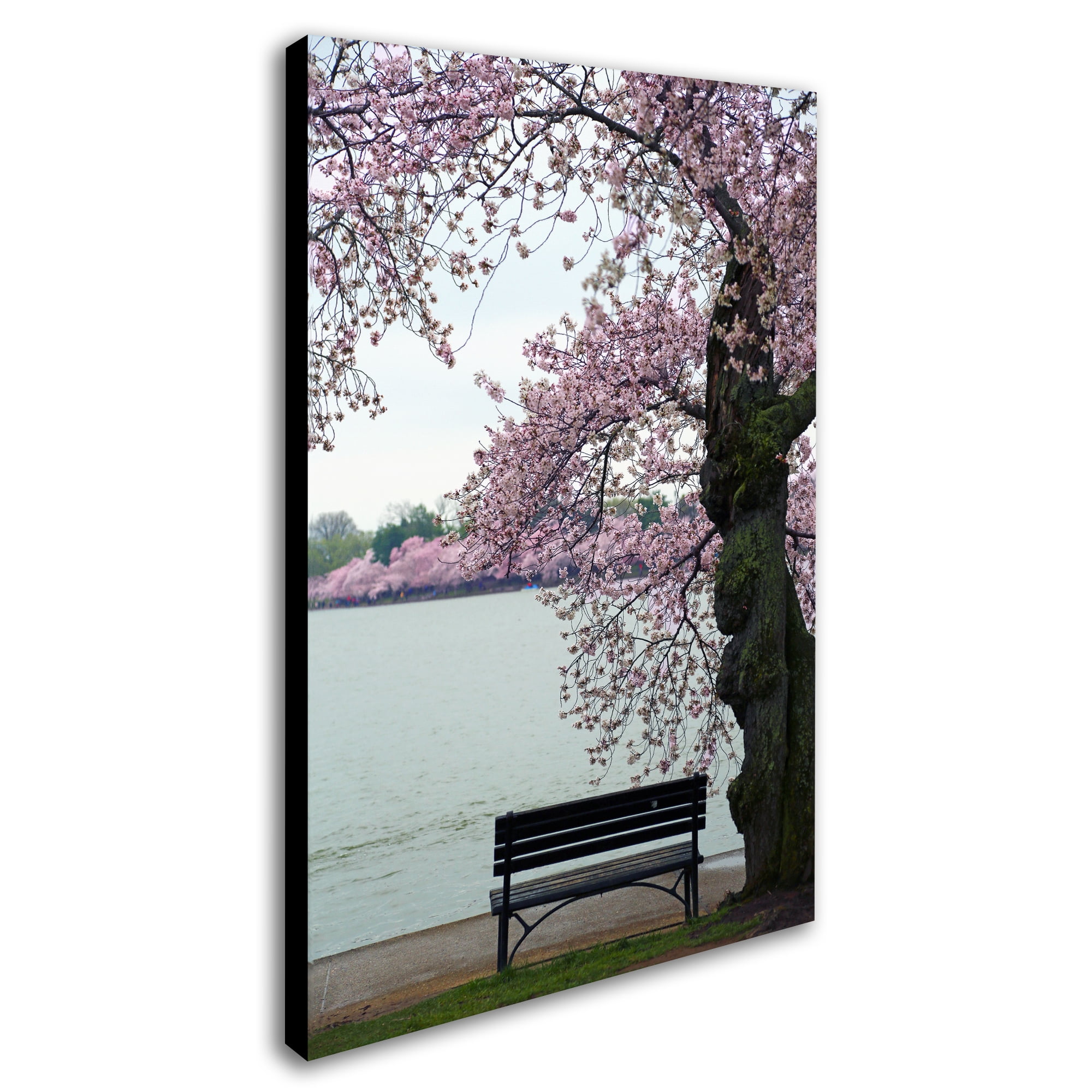 Trademark Fine Art "Tranquility" Canvas Art by CATeyes