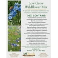 thumbnail image 3 of Bloomers 1/2LB Low Grow Wildflower Mix - 100% Pure Seed, All Season, Low Maintenance, Perennial & Annual Flower Mix, 3 of 6