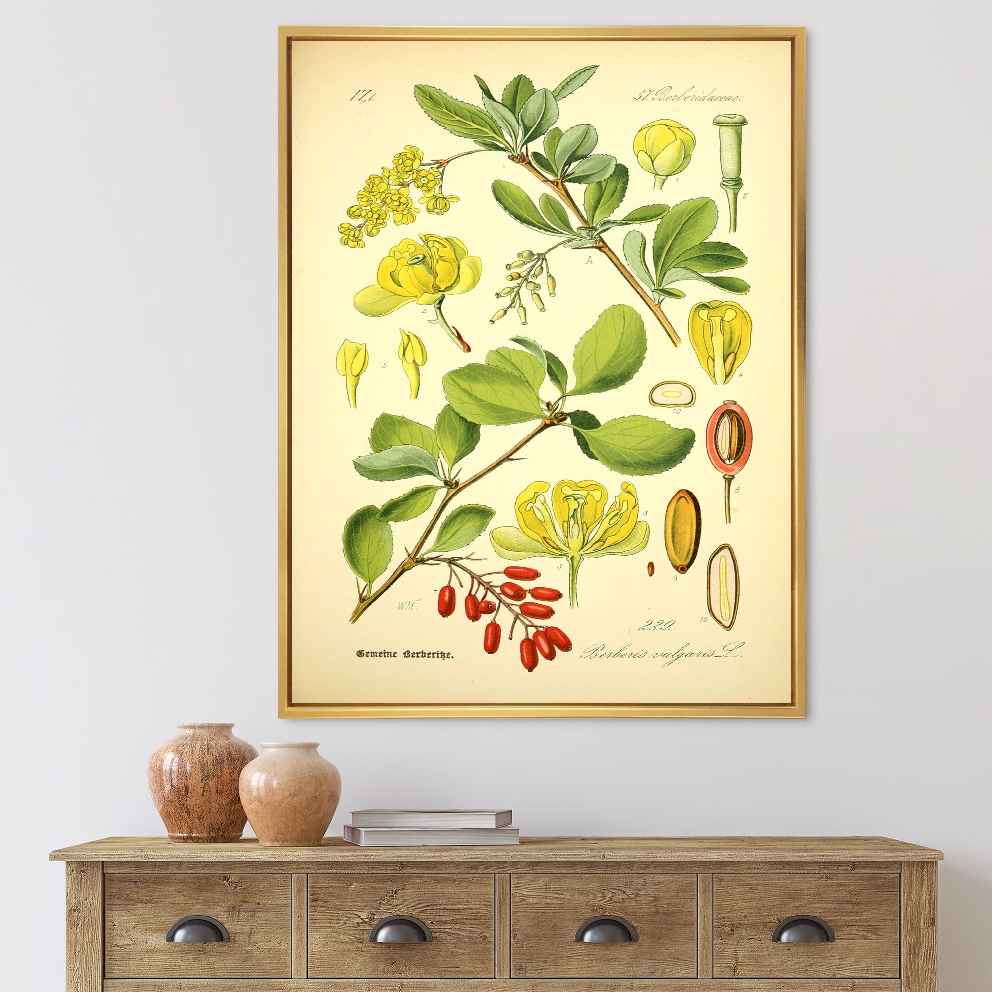 Designart 'Ancient Plant Life II' Traditional Framed Canvas Wall Art Print