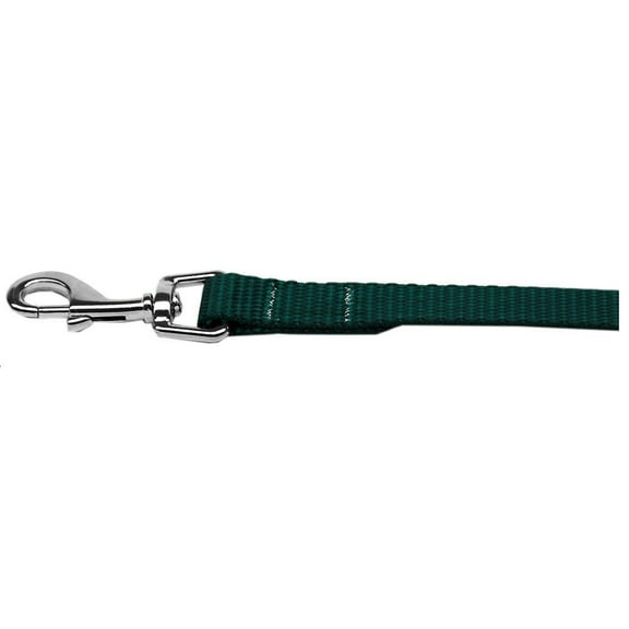 Nylon Dog Lead Leash Bright and Plain Basic Colors -Choose 6 Sizes And 16 Colors (Green,xLarge - 1in by 6ft)