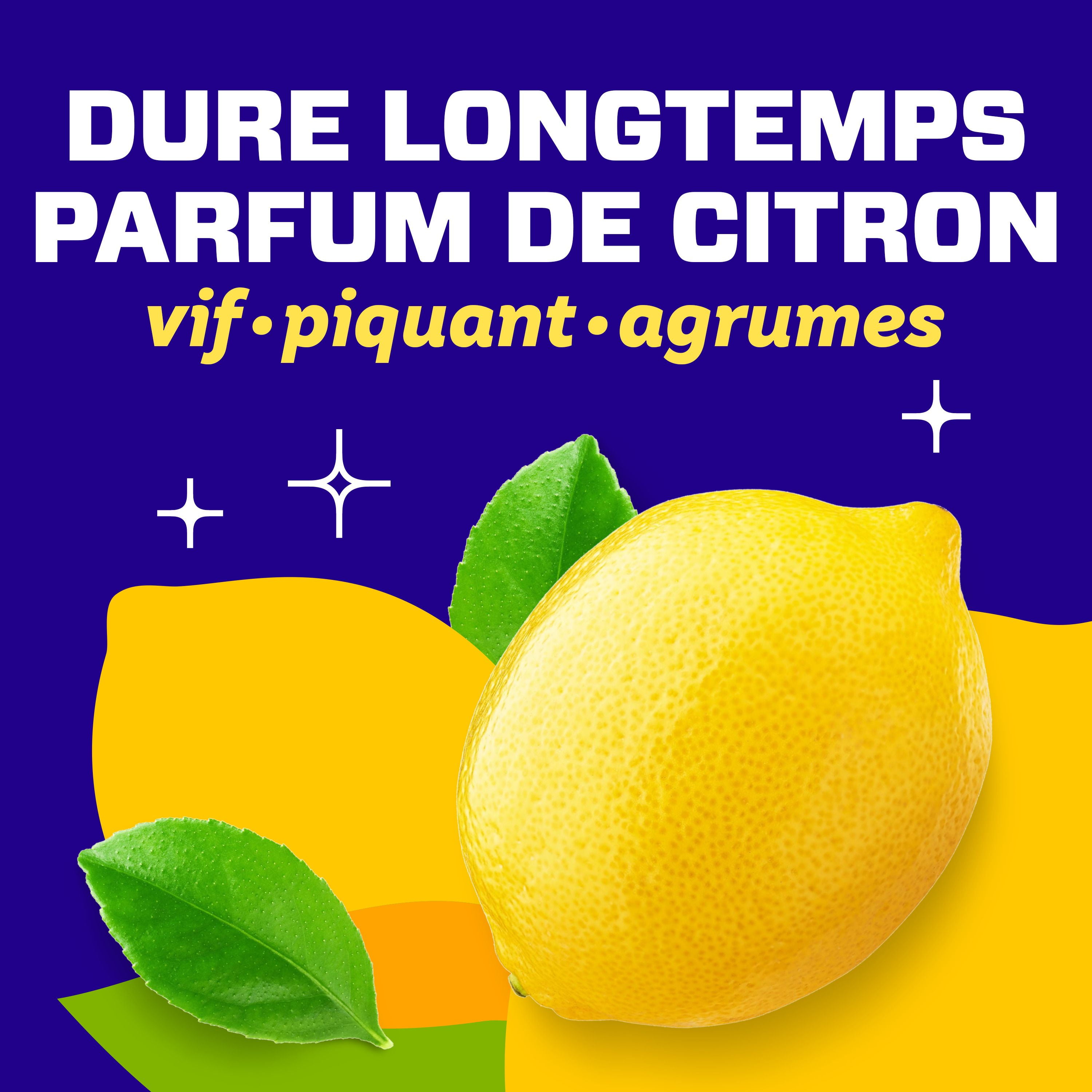 Nettoyant tout usage antibactérien M. Net, nettoyant pour planchers, savon pour vadrouille, nettoyant liquide, Citron, 2,93 L (FRENCH) GOI F&B - Item Short Description