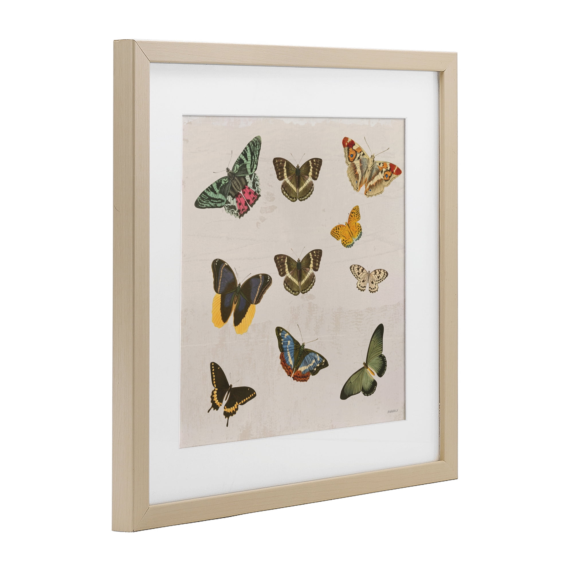 Stupell Industries Antique Butterfly Flight Birch Framed Print Under Glass, design by Dan Meneely