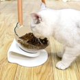 thumbnail image 3 of Tazón De Comida Para Gatos Tazón Antideslizante Para Gatos Y Perros Pequeños. Afortunado Sencillez, 3 of 4
