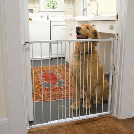 UPC: 0635035025102 | Cardinal Gates Duragate Pet Safety Gate 26.5  to 41.5  wide x 29.5  tall – White
