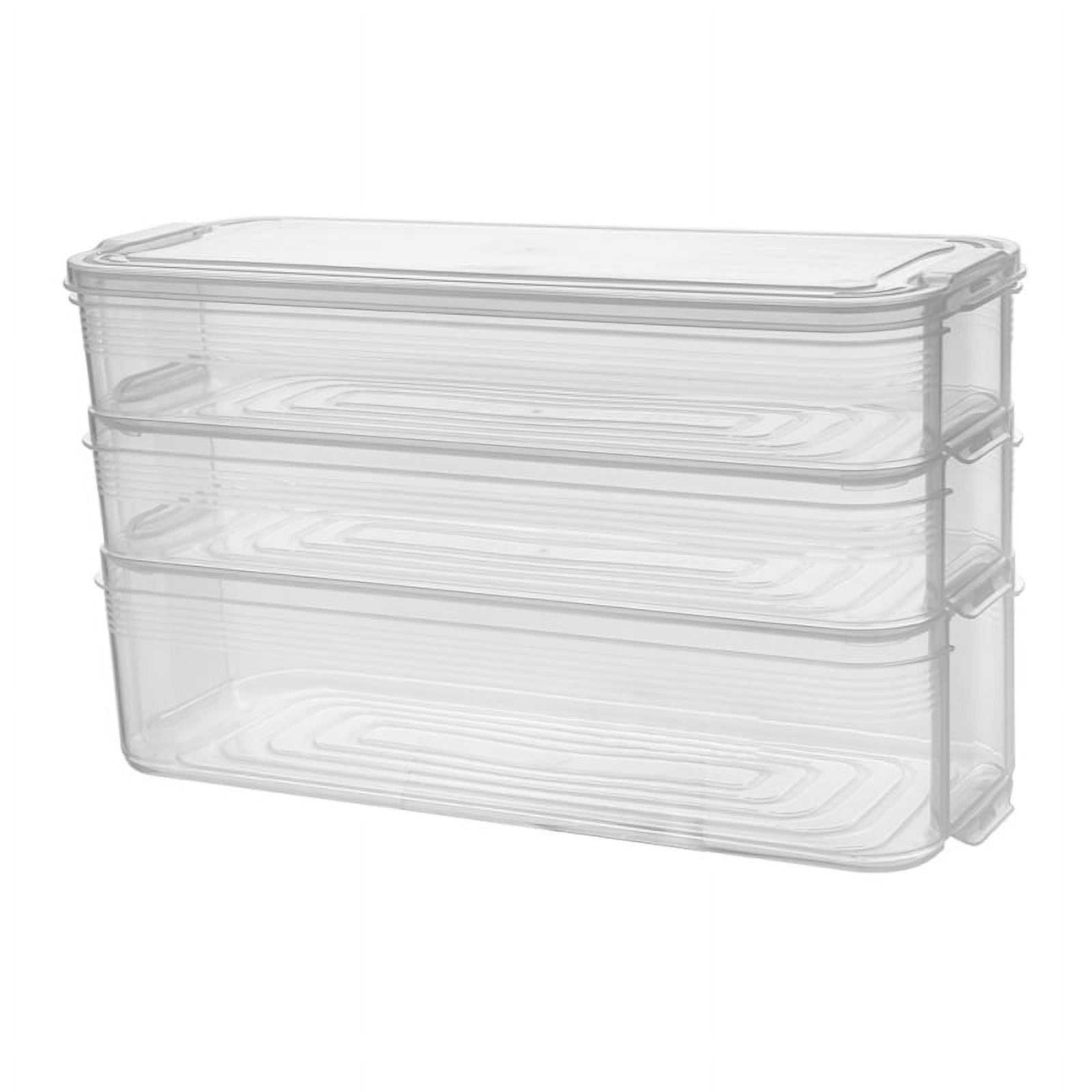 Buy BUSA 4 Pcs Plastic Food Storage Container, Fridge Organizer Case with  Removable Drain Plate Freezer Containers Keep Fresh for Storing Fish, Meat,  Vegetables 1500 ML - Transparent (Fish Basket)(4) Online at