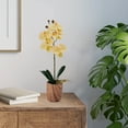 thumbnail image 5 of Home Accents 16-Inch Artificial Real Touch Phalaenopsis Orchid in Faux Wood Cement Pot, 5 of 6
