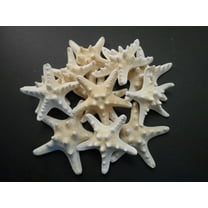 Set of 50 White Knobby Starfish for Beach Wedding Crafts and Decor 3-4" (77-102 mm) Nautical Coastal Beach Cottage Decor