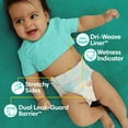thumbnail image 2 of Pampers Baby Dry Baby Diapers Size 3, 210 Count (Select for More Options), 2 of 9