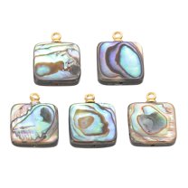 Uxcell Natural Abalone Shell Charm 5 Pcs Square Paua Shell Pendant for Carvings Decoration Mix Colors 12mm