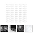 thumbnail image 2 of 50PCS 6 inch Flower Pot Tray Plastic Flower Plant Pot Saucer for Indoor Outdoor, 2 of 3