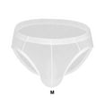 thumbnail image 4 of Sonducket Calzoncillos sexis de malla transparente de seda de hielo para hombre, ropa interior cómoda súper suave y seductora Prendas para la parte inferior del cuerpo Blanco METRO, 4 of 6