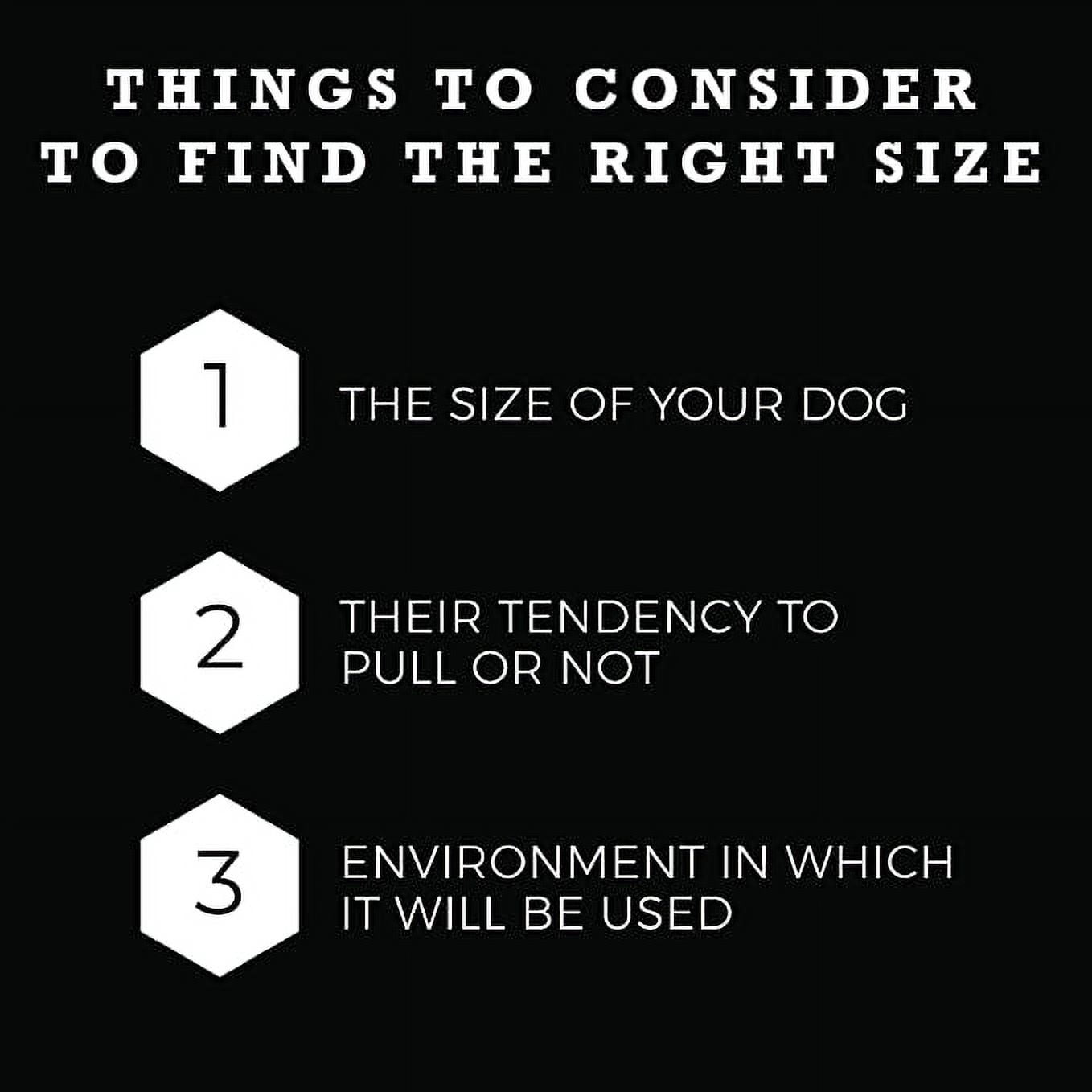 Wolfgang Premium Nylon Buckles Dog Leash for Large Dogs Training & Walking Dog Accessories Overland Print, 1 Inch x 6 Ft