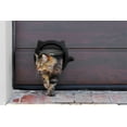 thumbnail image 4 of Cat Door For Pets 4 Way Locking Cat Flap Interior & Exterior Doors, 4 of 4