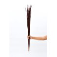 thumbnail image 6 of Leewadee Tall Vase Filler, Natural Grass Stems – 2 Bunches Of Colored Branches for Vases, Carefully Dried Twigs for Home and Bar Decoration,  Bordeaux, 6 of 9