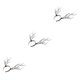 thumbnail image 5 of Speravity Gothic Antlers Deer Horns Hair Hoop  Cosplay Headband Headdress Xmas Type1 NO1, 5 of 6