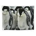 thumbnail image 5 of BCIIG  Custom Blanket with Name Personalized Penguin Soft Fleece Throw Blanket for Gifts Tapestry, 5 of 6