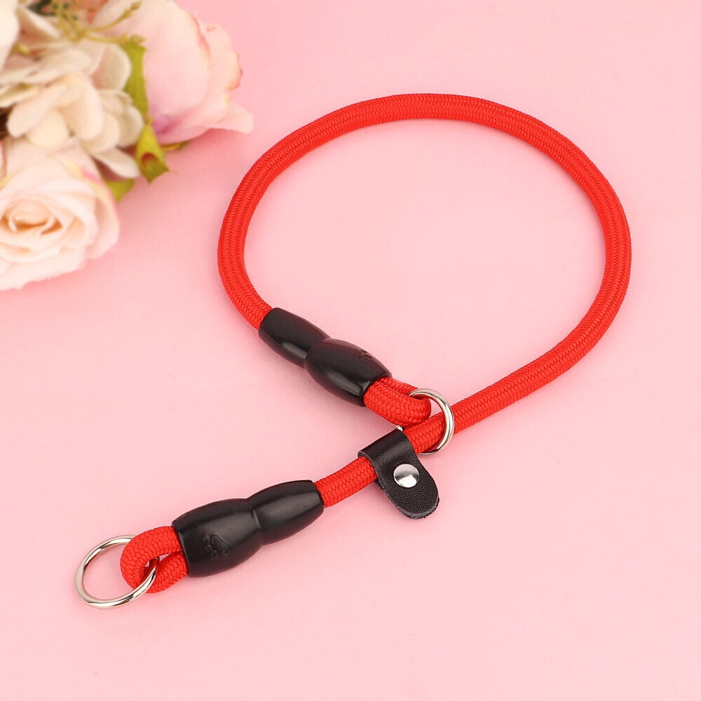 Premium Climbing Rope Slip Lead Dog Leash With Petzl O-Ring - Foto 2