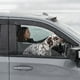 S'adapte au Ford Escape 2013-2019 Auto Ventshade Garde-Pluie 894045 Ventilateur; Profil Bas; Ruban Adhésif; Fumée; Acrylique; Lot de 4 – image 5 sur 9