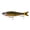 Live Bluegill, variant on 6th Sense Draw 9 in Glide Bait Bass Fishing Lure Designed with for Trophy Bass Fishing