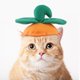 thumbnail image 1 of Sombrero para mascota, lindo disfraz de perro osito de peluche, gorro de girasol para mascota, peluca, sombrero de gato para Halloween, 1 of 6