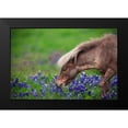 thumbnail image 2 of Zheng, Michael 18x13 Black Modern Framed Museum Art Print Titled - Spring Is In The Air..., 2 of 5