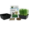 Mini Organic Pet Grass Kit - Grow Wheatgrass for Pets: Dog, Cat, Bird, Rabbit, More - Includes Trays, Soil, Wheat Grass Seeds, Instructions