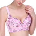 thumbnail image 3 of Fashion Embroidery Floral Bras Sexy Padded Push Up Bralette, 3 of 6